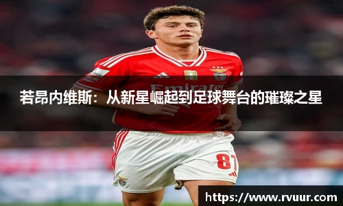 好博体育官网平台